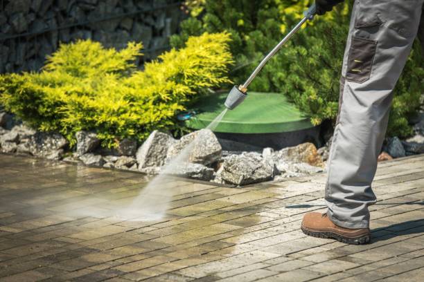 Best House Exterior Washing  in Hlcrest, IL